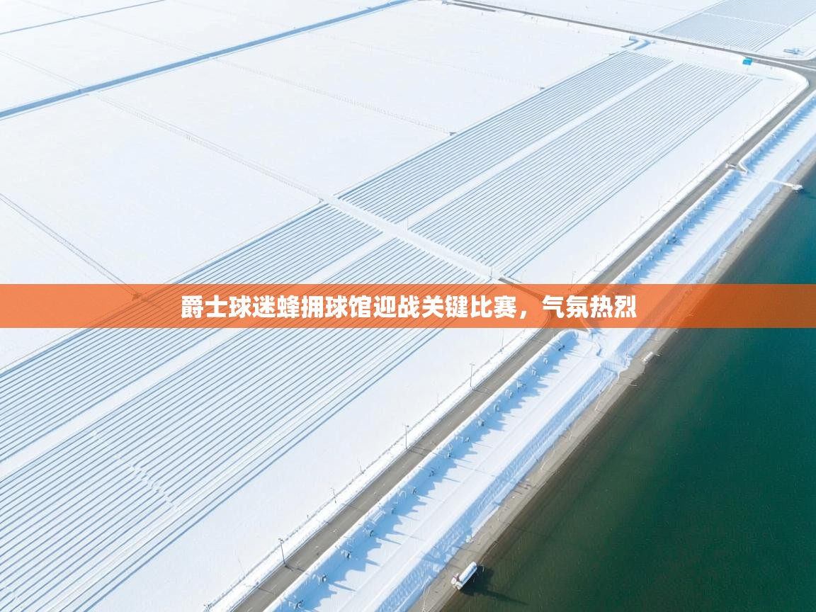 爵士球迷蜂拥球馆迎战关键比赛,气氛热烈 第1张